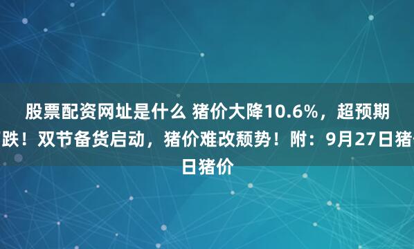 股票配资网址是什么 猪价大降10.6%，超预期下跌！双节备货启动，猪价难改颓势！附：9月27日猪价